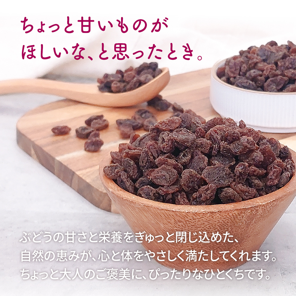 レーズン 1kg 産地直輸入 カリフォルニア産 食塩不使用 ドライ