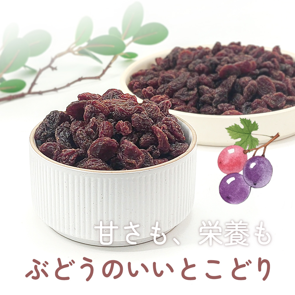レーズン 1kg 産地直輸入 カリフォルニア産 食塩不使用 ドライ