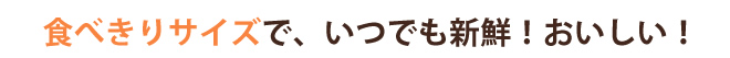 食べきりサイズで、いつでも新鮮！おいしい！